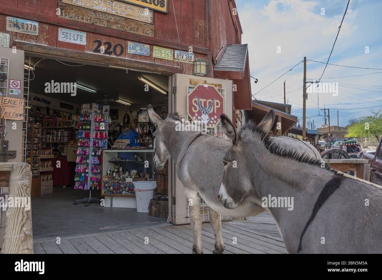 Visitatori inaspettati a Seligman: Un paio di asini esplorano casualmente un punto vendita della Route 66, catturando l'anima eccentrica del sud-ovest americano. Foto Stock