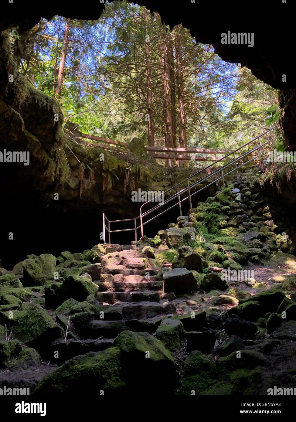 Ingresso all'Ape Cave, vicino al Mount St. Helen's, Washington State, USA Foto Stock