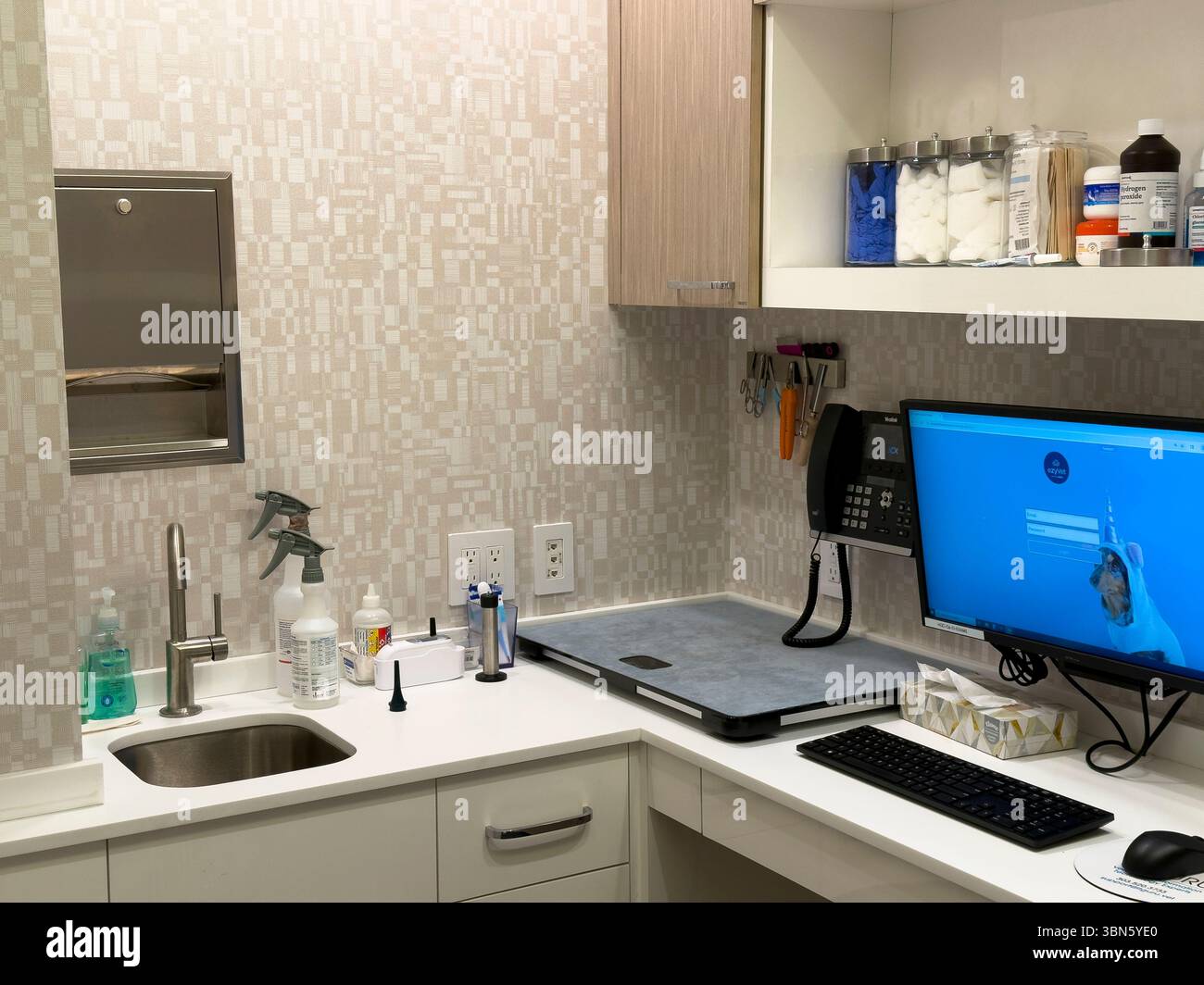 Sala per esami veterinari Foto Stock