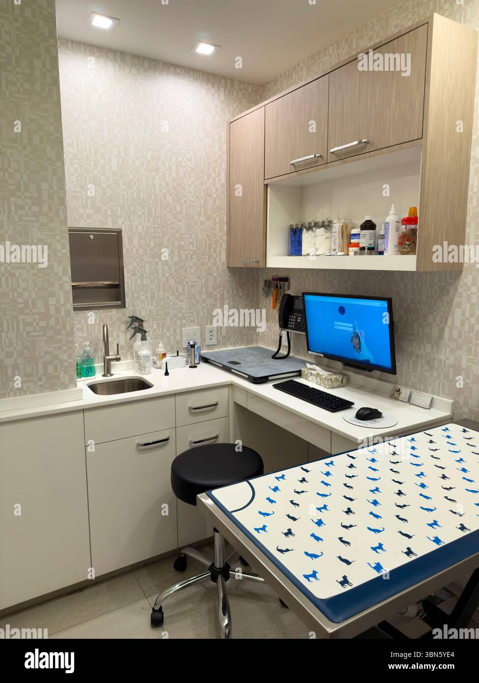 Sala per esami veterinari Foto Stock