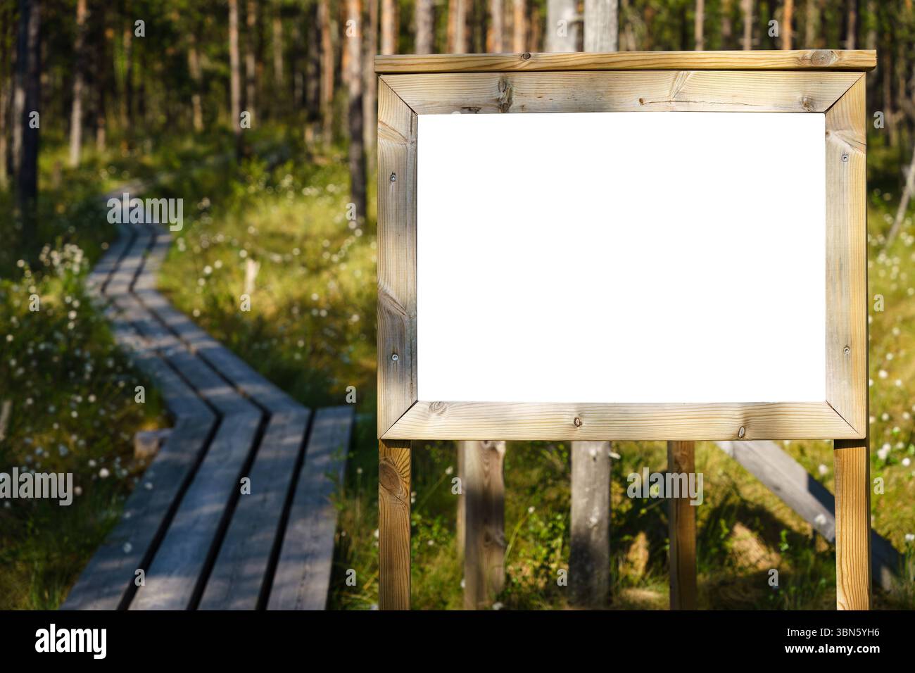 Cartello vuoto lungo un sentiero di legno nella palude finlandese, sentiero di ritaglio Foto Stock