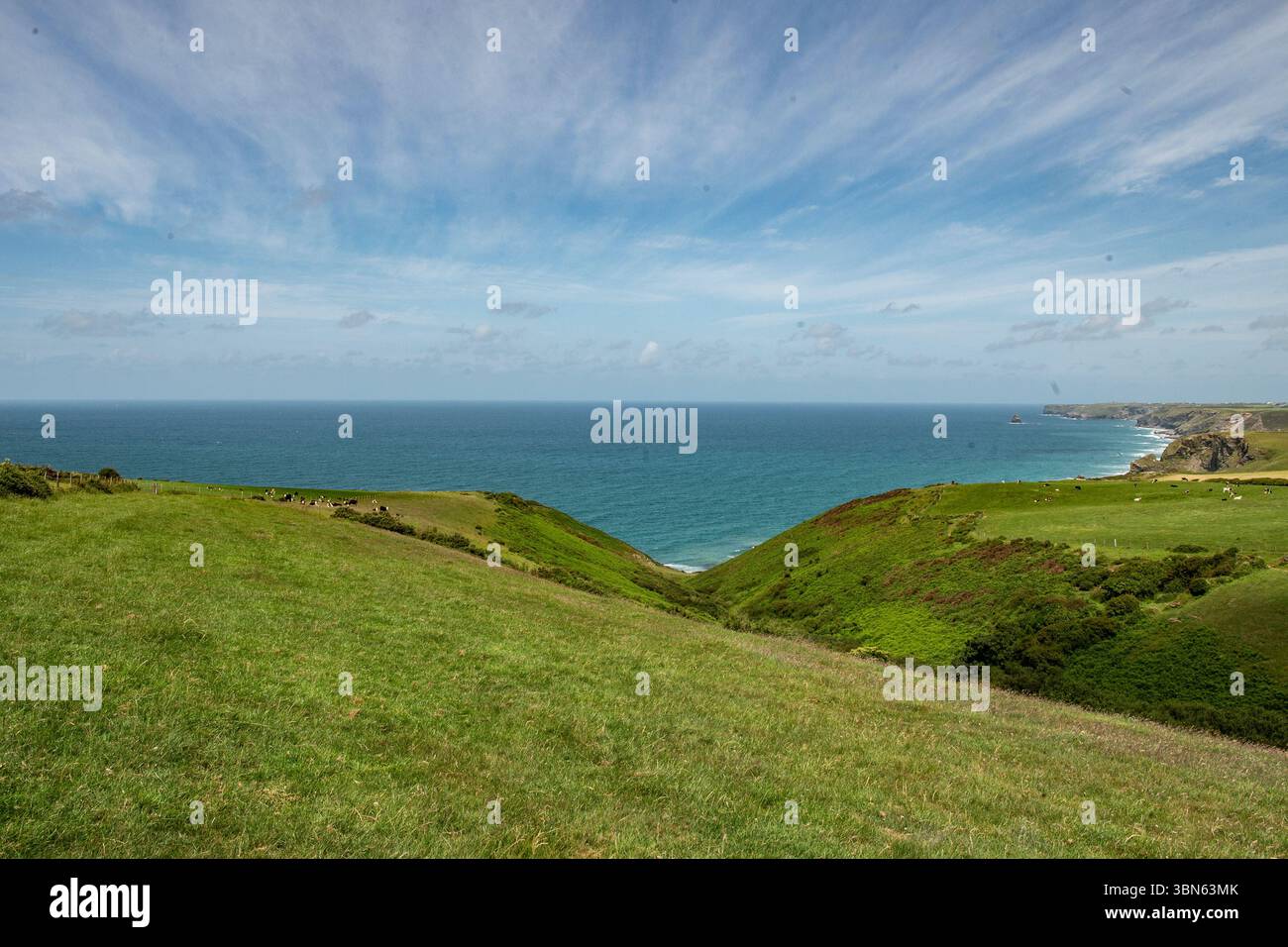 Costa della Cornovaglia settentrionale a Port Isaac, Regno Unito Foto Stock