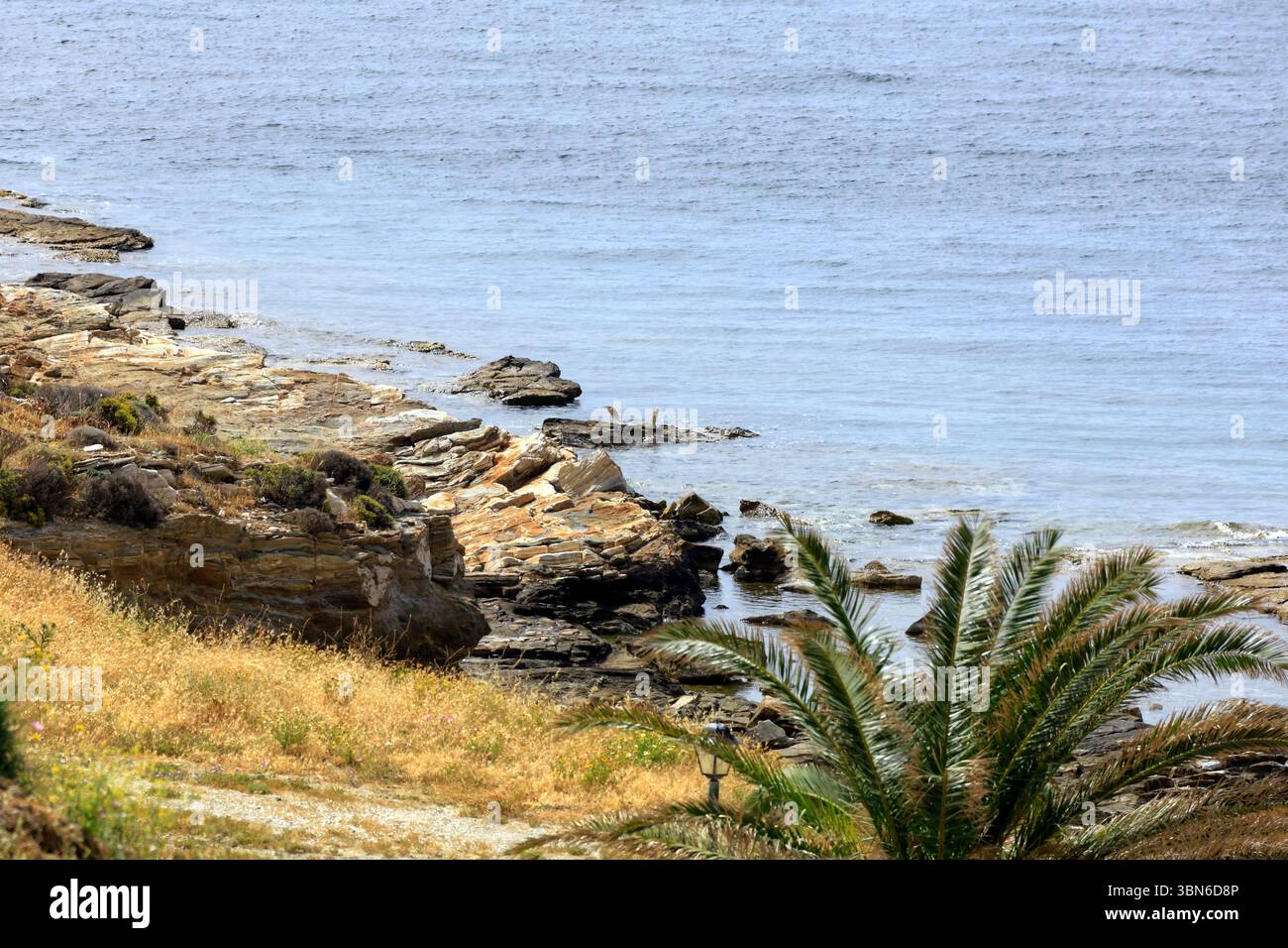 Scenario costiero con le scorribande di bestiame occidentali (bubulcus ibis) in lontananza, l'isola greca di Tinos, il gruppo di isole delle Cicladi, Grecia, UE Foto Stock