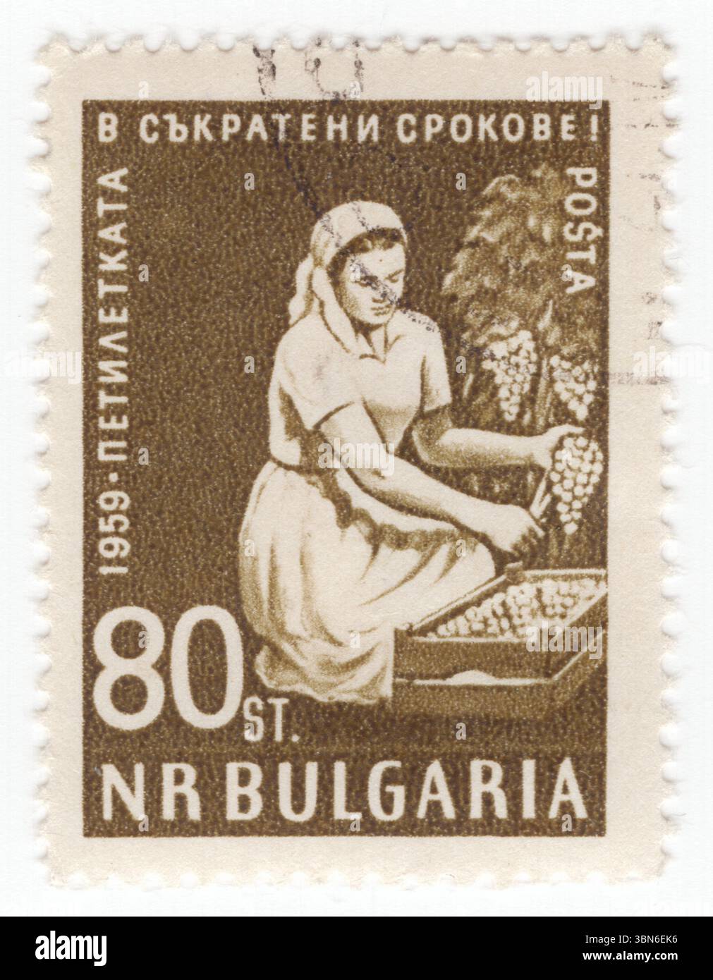 BULGARIA — 1960 giugno 09: Francobollo stotinki 80 raffigurante la donna che vende uva. Completamento anticipato del piano quinquennale. Un'uva è un frutto, botanicamente una bacca, delle viti legnose decidue del genere vegetale in fiore Vitis. La coltivazione dell'uva è iniziata forse 8.000 anni fa, e il frutto è stato utilizzato come cibo umano nella storia. Mangiate fresche o secche (uvetta, ribes e uva sultanina), le uve hanno un significato culturale in molte parti del mondo, in particolare per il loro ruolo nella vinificazione. Altri prodotti derivati dall'uva comprendono vari tipi di marmellata, succo, aceto e olio Foto Stock