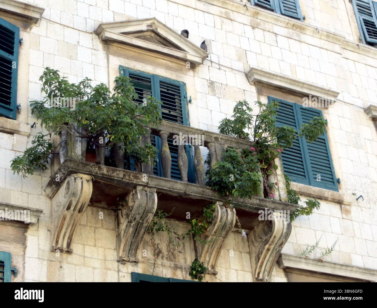 Gli edifici storici in pietra mostrano intricati disegni nella città vecchia di Kotors, impreziositi da una vegetazione lussureggiante sui balconi. Una bella rappresentazione del Mediterraneo Foto Stock
