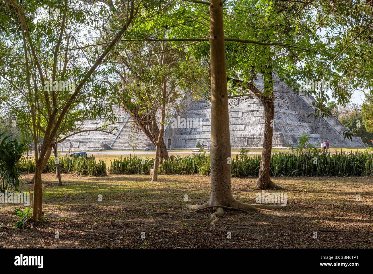 Il Tempio di Kukulcan, El Castillo, nel centro di Chichen Itza, Yucatan, Messico Foto Stock