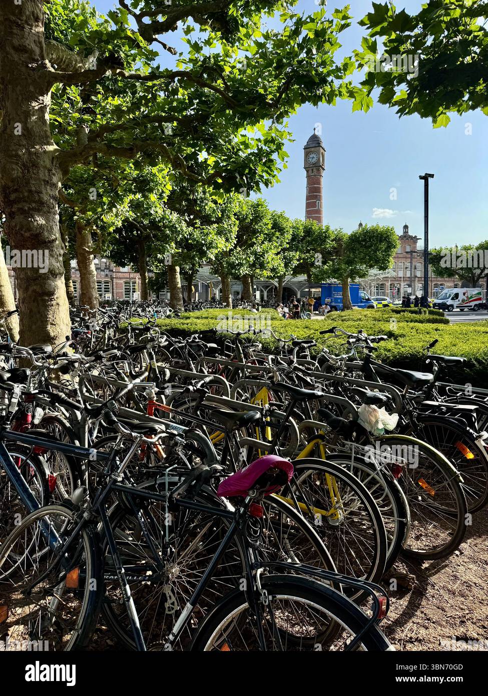 Biciclette parcheggiate sotto platani con la torre dell'orologio della stazione ferroviaria di Gand-Sint-Pieters sullo sfondo, Gand, Belgio. Foto Stock