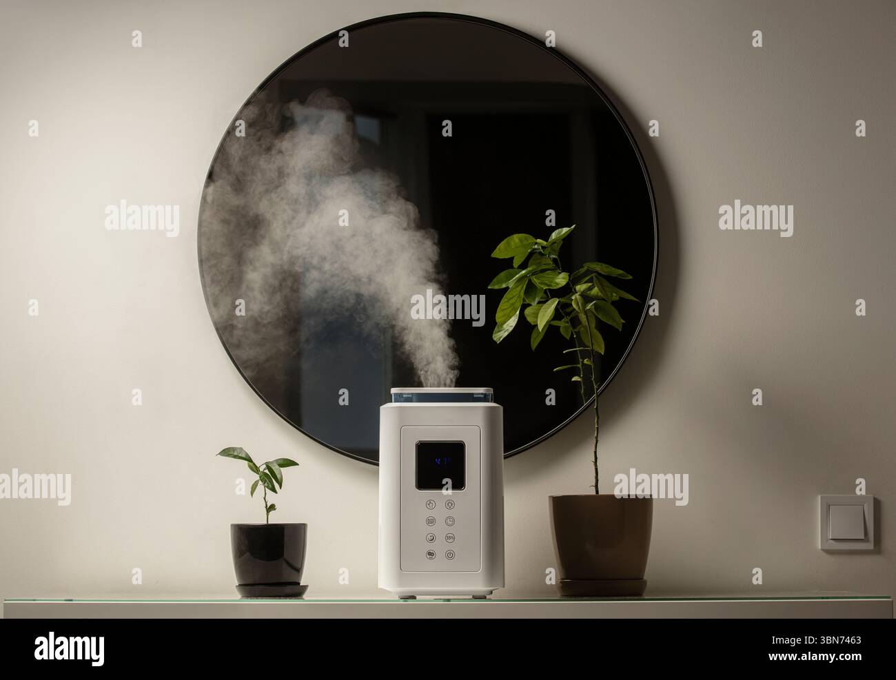 Diffusore di olio aromatico sul tavolo a casa, vapore dall'umidificatore d'aria, pianta domestica sullo sfondo. Tecnologia a ultrasuoni, aumento dell'umidità dell'aria. Foto Stock