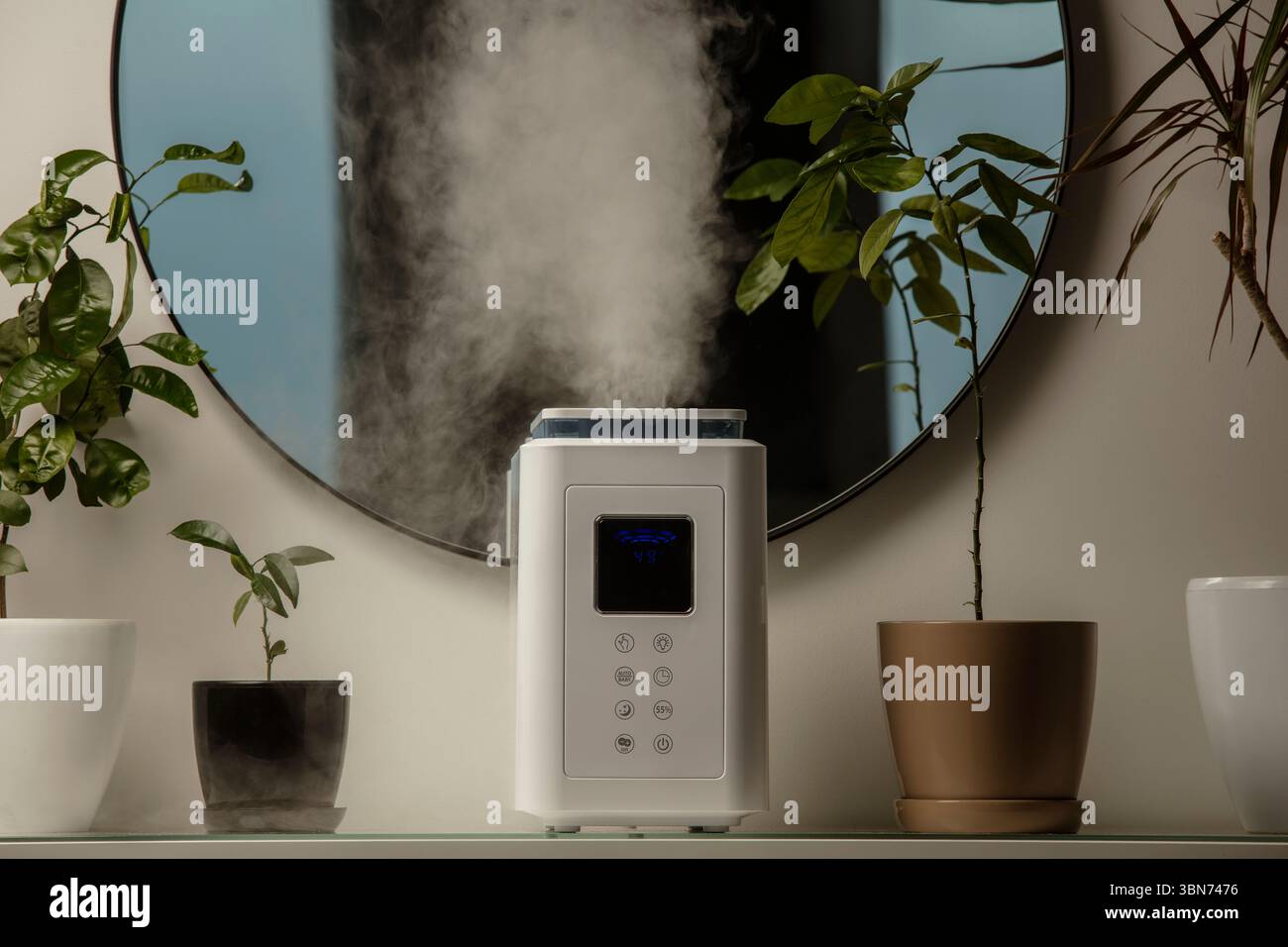 Diffusore di olio aromatico sul tavolo a casa, vapore dall'umidificatore d'aria, pianta domestica sullo sfondo. Tecnologia a ultrasuoni, aumento dell'umidità dell'aria. Foto Stock