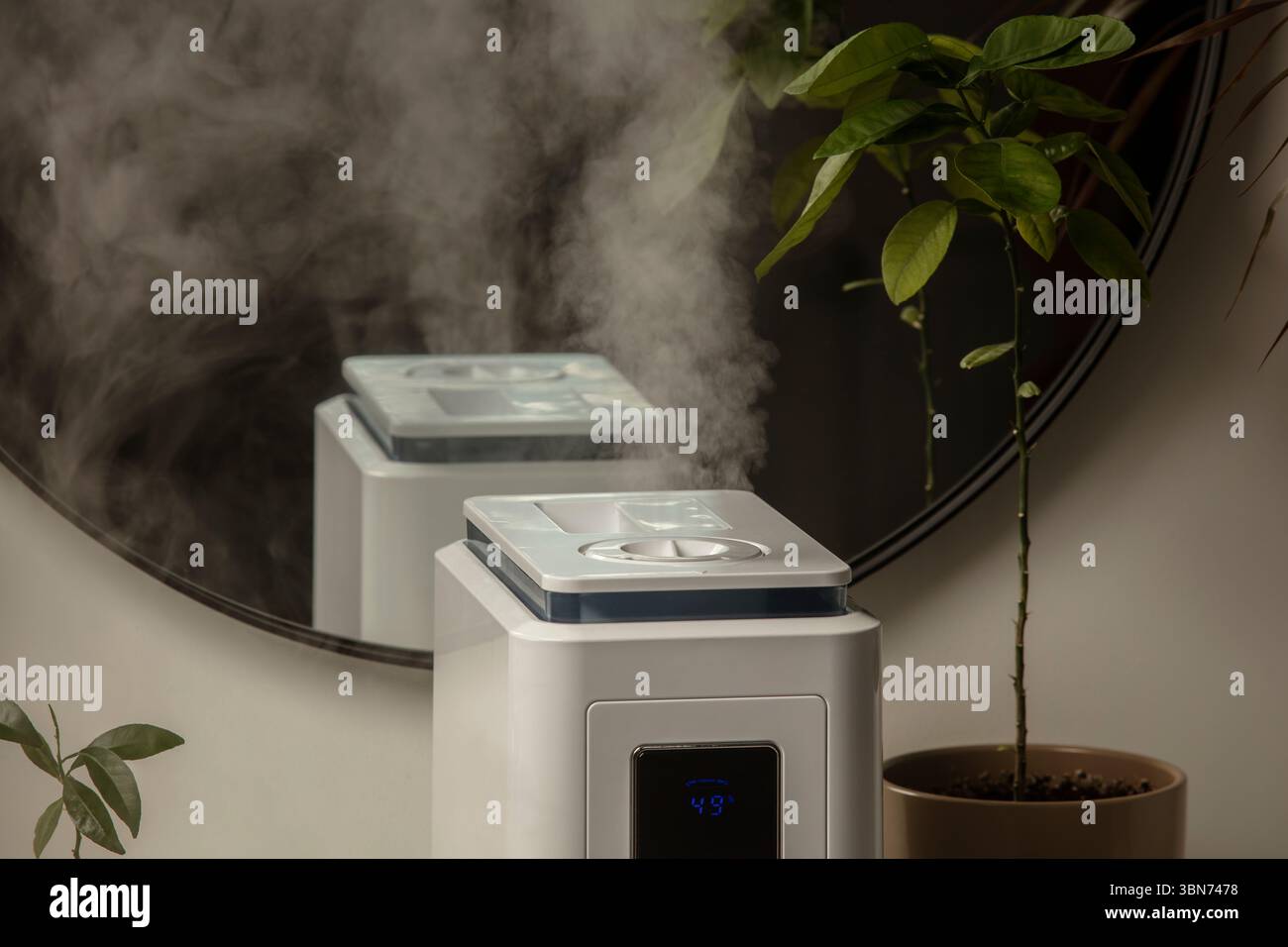 Diffusore di olio aromatico sul tavolo a casa, vapore dall'umidificatore d'aria, pianta domestica sullo sfondo. Tecnologia a ultrasuoni, aumento dell'umidità dell'aria. Foto Stock