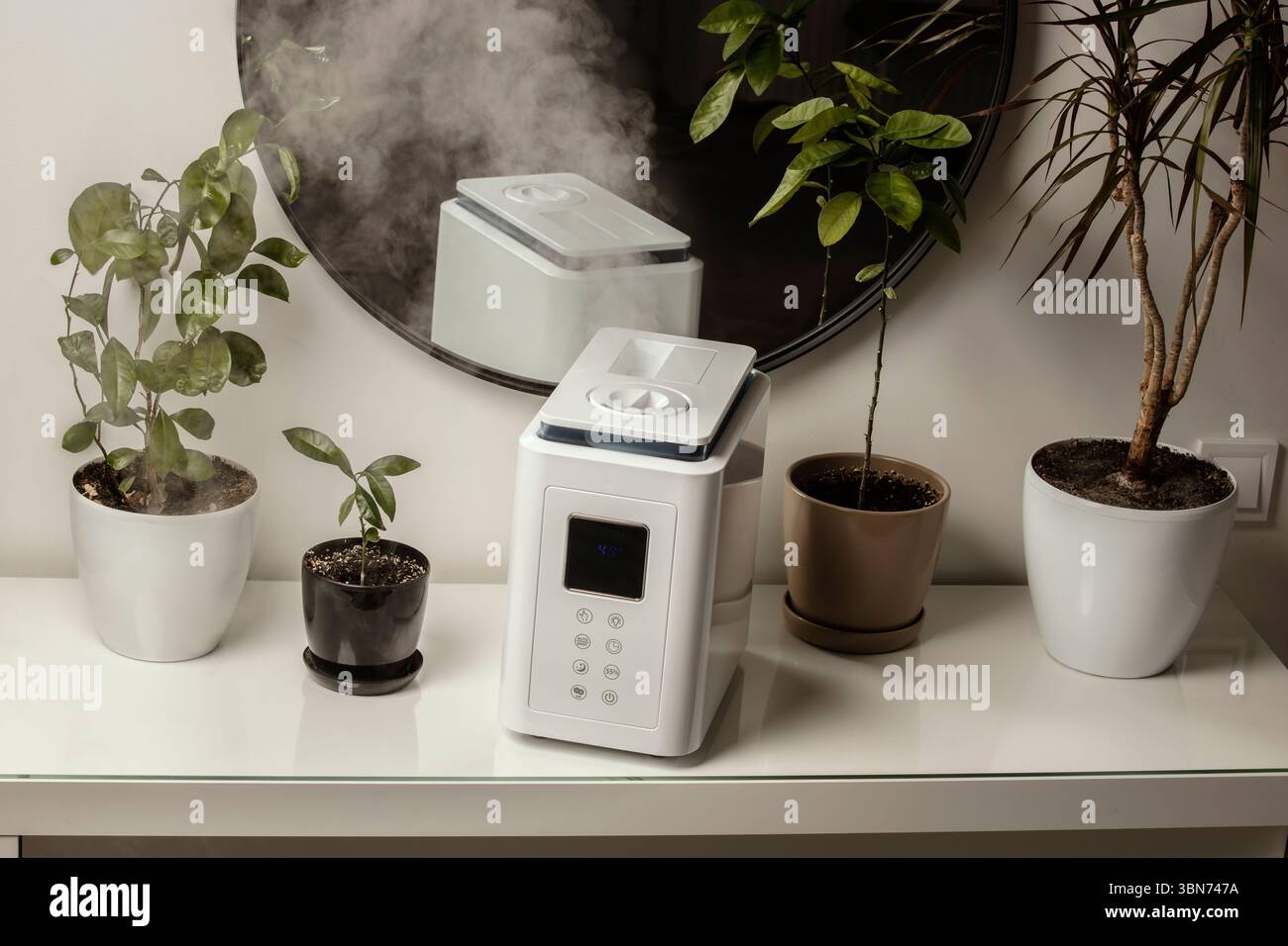 Diffusore di olio aromatico sul tavolo a casa, vapore dall'umidificatore d'aria, pianta domestica sullo sfondo. Tecnologia a ultrasuoni, aumento dell'umidità dell'aria. Foto Stock