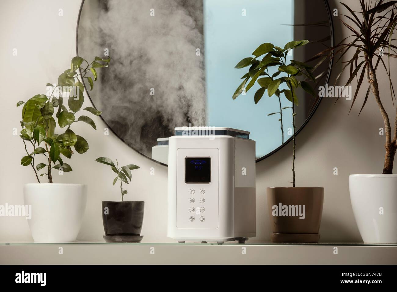 Diffusore di olio aromatico sul tavolo a casa, vapore dall'umidificatore d'aria, pianta domestica sullo sfondo. Tecnologia a ultrasuoni, aumento dell'umidità dell'aria. Foto Stock