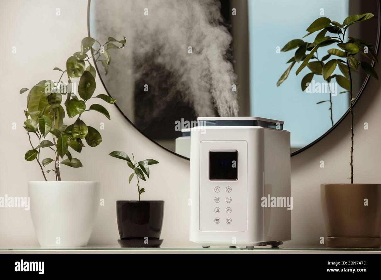 Diffusore di olio aromatico sul tavolo a casa, vapore dall'umidificatore d'aria, pianta domestica sullo sfondo. Tecnologia a ultrasuoni, aumento dell'umidità dell'aria. Foto Stock