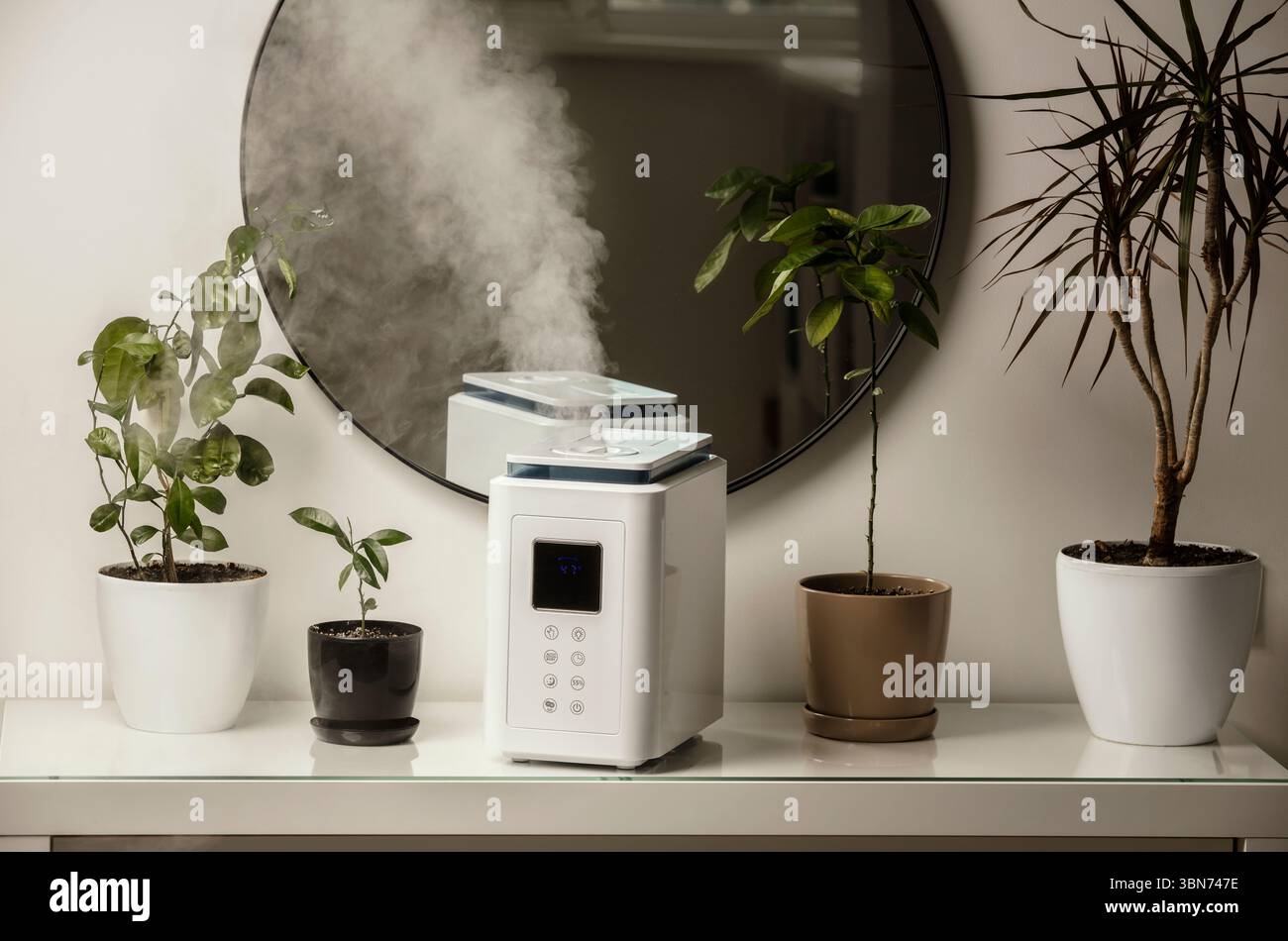 Diffusore di olio aromatico sul tavolo a casa, vapore dall'umidificatore d'aria, pianta domestica sullo sfondo. Tecnologia a ultrasuoni, aumento dell'umidità dell'aria. Foto Stock