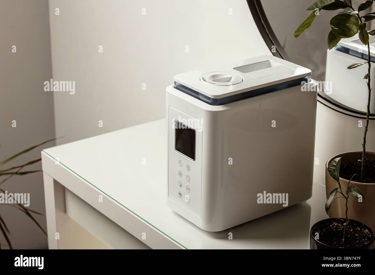 Diffusore di olio aromatico sul tavolo a casa, vapore dall'umidificatore d'aria, pianta domestica sullo sfondo. Tecnologia a ultrasuoni, aumento dell'umidità dell'aria. Foto Stock
