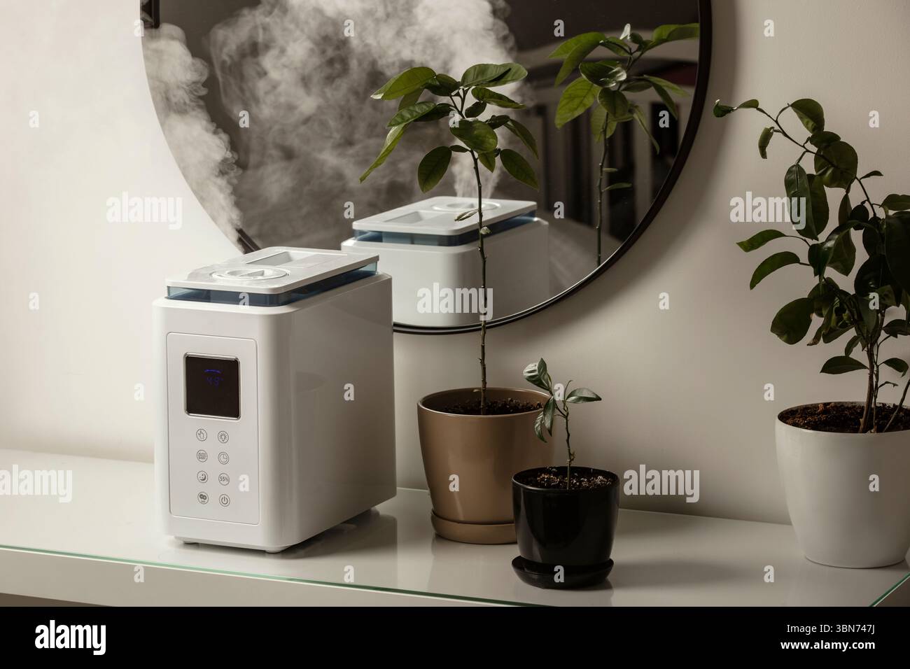 Diffusore di olio aromatico sul tavolo a casa, vapore dall'umidificatore d'aria, pianta domestica sullo sfondo. Tecnologia a ultrasuoni, aumento dell'umidità dell'aria. Foto Stock