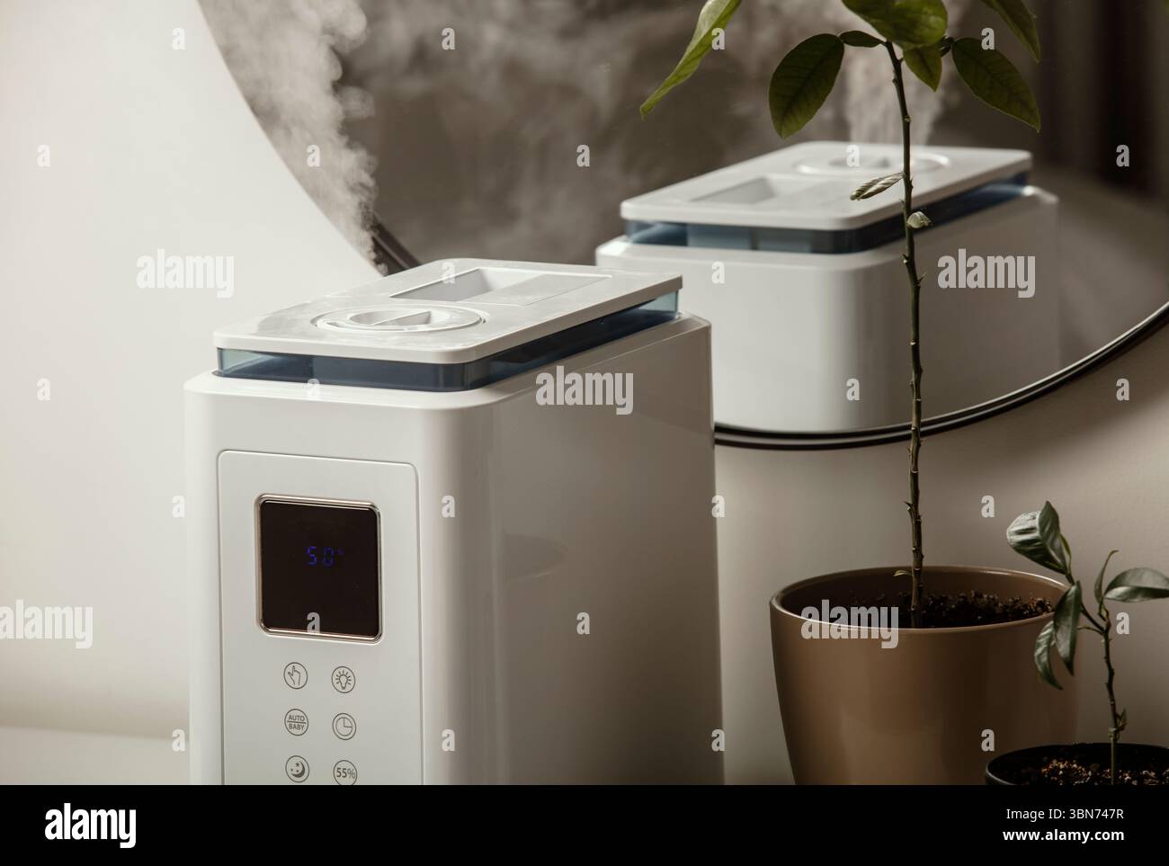 Diffusore di olio aromatico sul tavolo a casa, vapore dall'umidificatore d'aria, pianta domestica sullo sfondo. Tecnologia a ultrasuoni, aumento dell'umidità dell'aria. Foto Stock