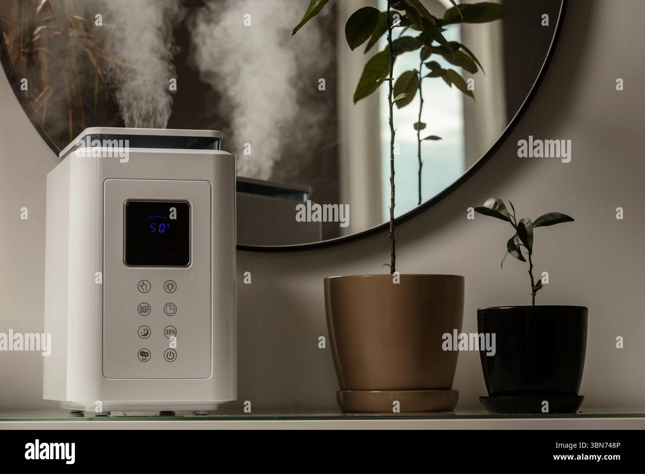 Diffusore di olio aromatico sul tavolo a casa, vapore dall'umidificatore d'aria, pianta domestica sullo sfondo. Tecnologia a ultrasuoni, aumento dell'umidità dell'aria. Foto Stock