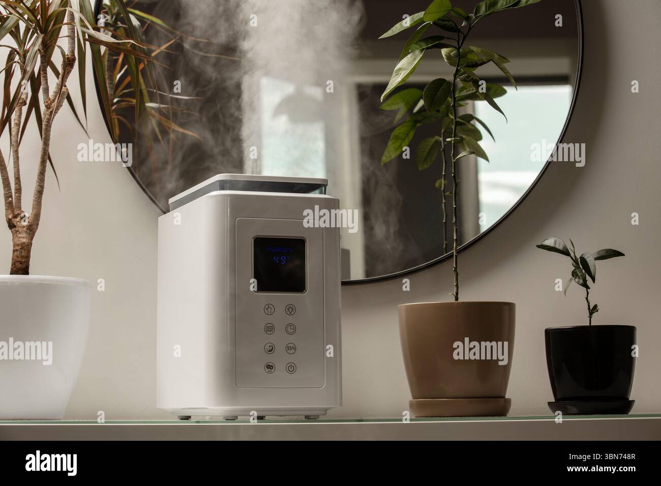 Diffusore di olio aromatico sul tavolo a casa, vapore dall'umidificatore d'aria, pianta domestica sullo sfondo. Tecnologia a ultrasuoni, aumento dell'umidità dell'aria. Foto Stock