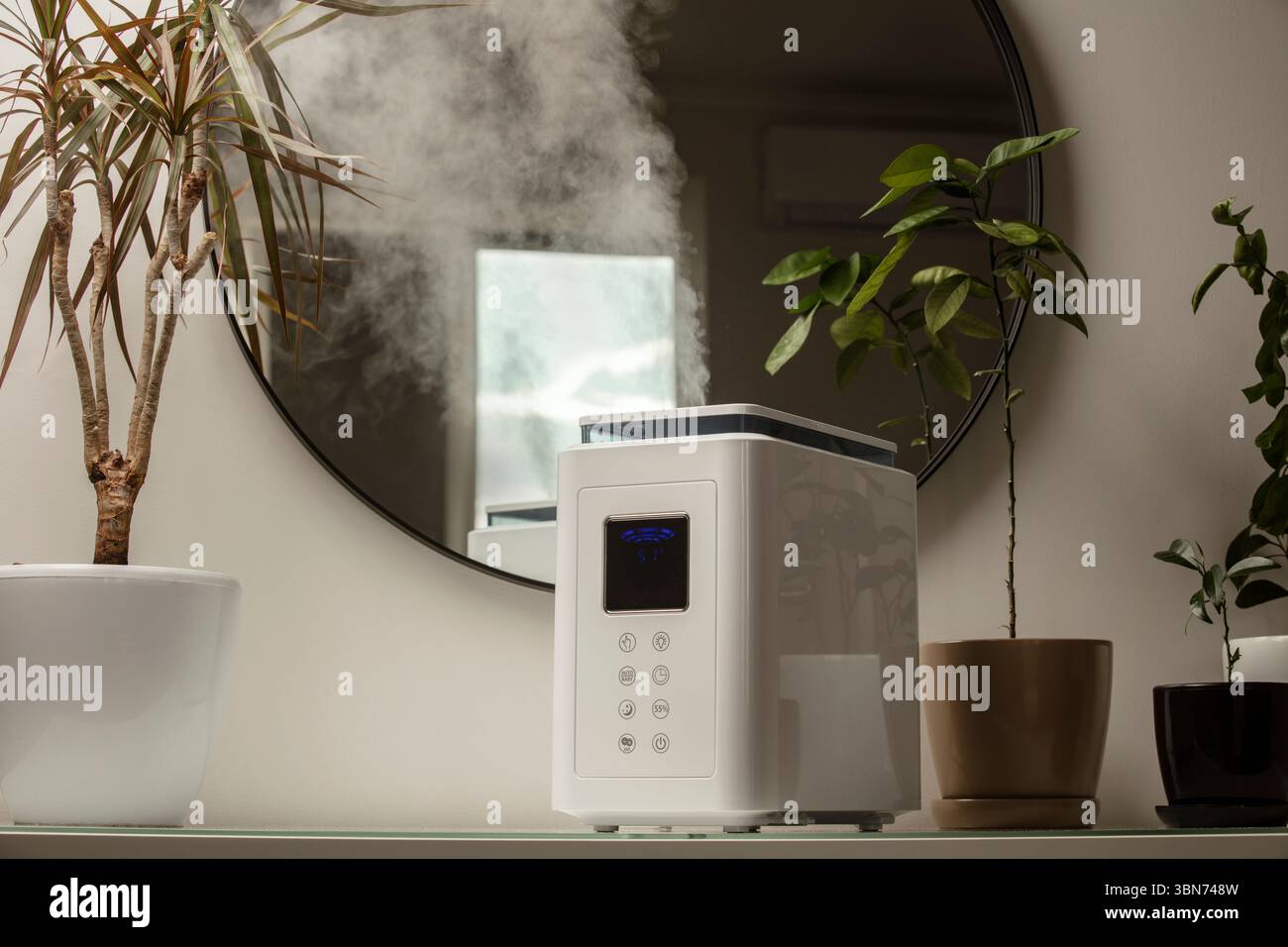 Diffusore di olio aromatico sul tavolo a casa, vapore dall'umidificatore d'aria, pianta domestica sullo sfondo. Tecnologia a ultrasuoni, aumento dell'umidità dell'aria. Foto Stock