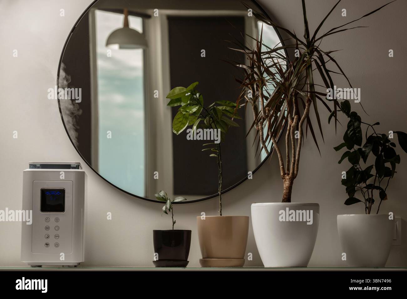 Diffusore di olio aromatico sul tavolo a casa, vapore dall'umidificatore d'aria, pianta domestica sullo sfondo. Tecnologia a ultrasuoni, aumento dell'umidità dell'aria. Foto Stock