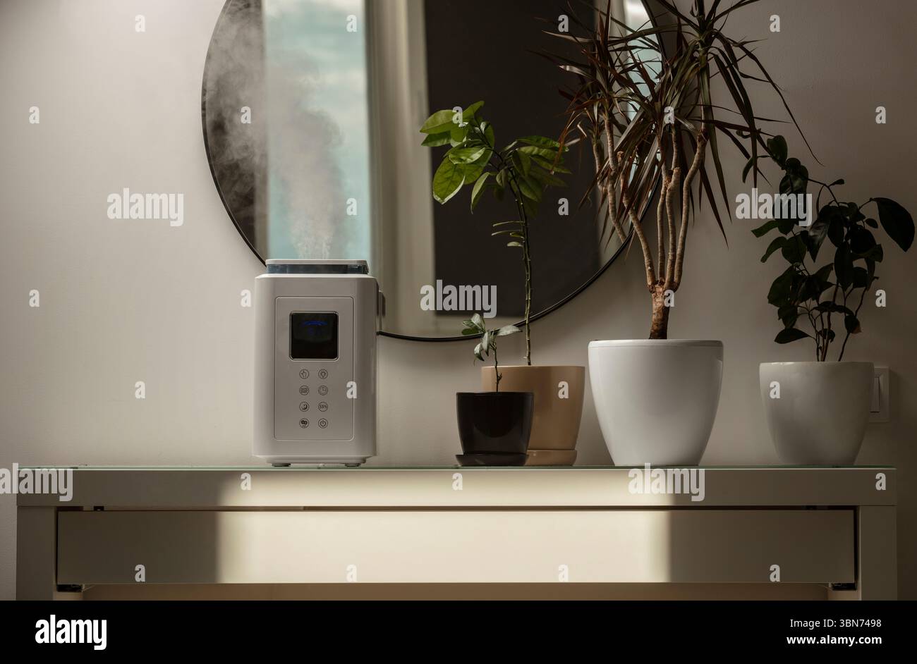 Diffusore di olio aromatico sul tavolo a casa, vapore dall'umidificatore d'aria, pianta domestica sullo sfondo. Tecnologia a ultrasuoni, aumento dell'umidità dell'aria. Foto Stock