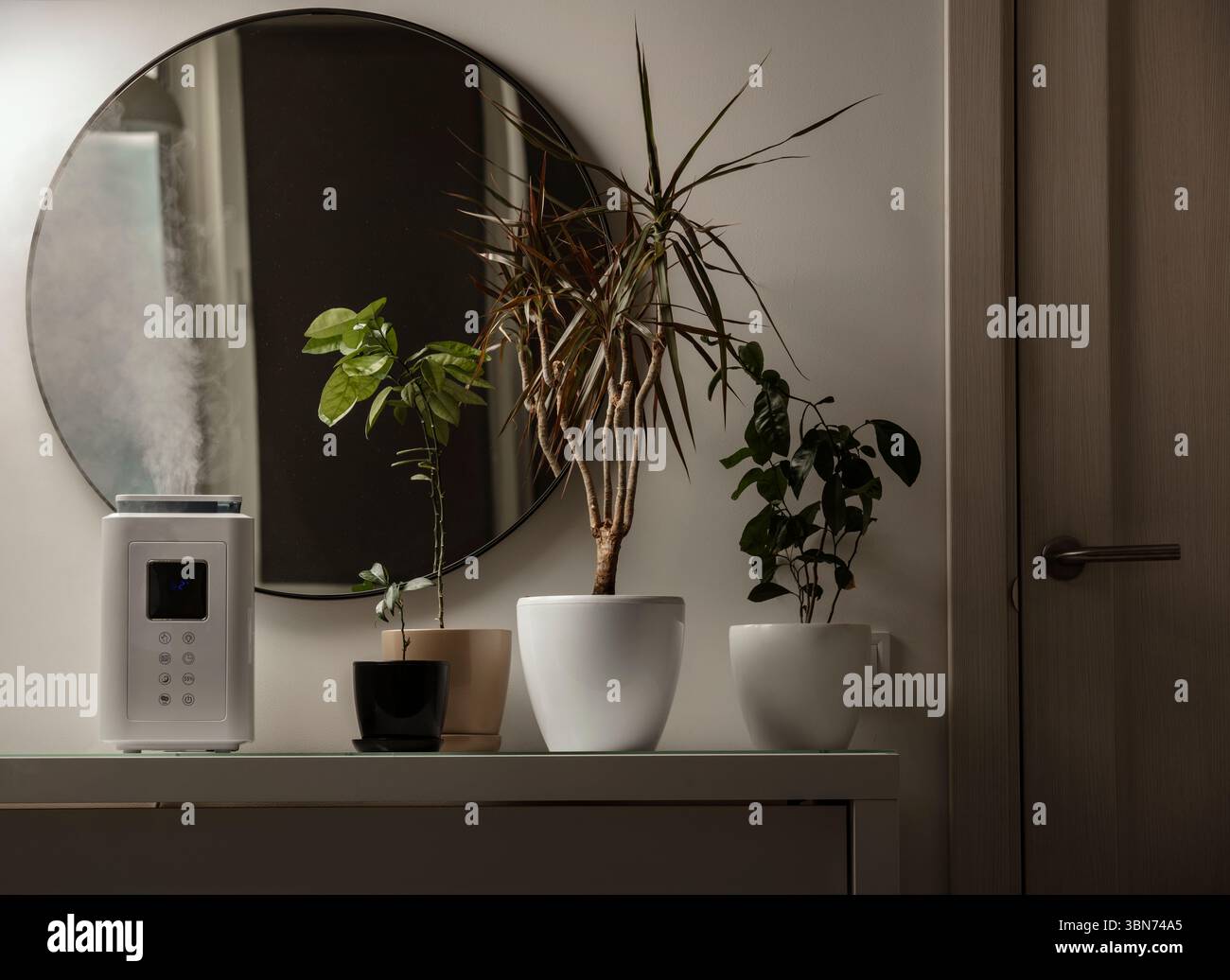 Diffusore di olio aromatico sul tavolo a casa, vapore dall'umidificatore d'aria, pianta domestica sullo sfondo. Tecnologia a ultrasuoni, aumento dell'umidità dell'aria. Foto Stock