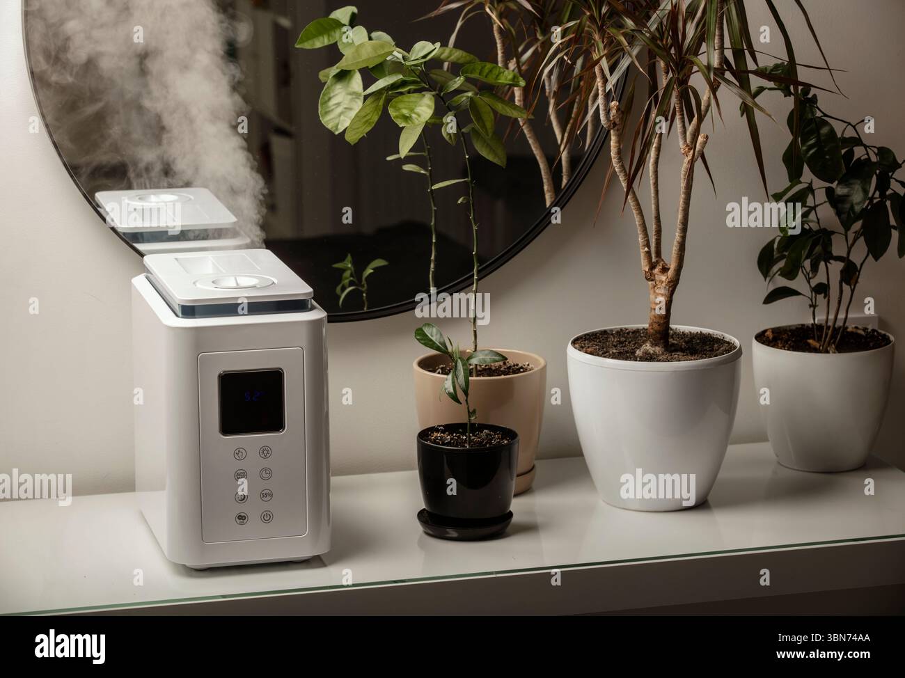 Diffusore di olio aromatico sul tavolo a casa, vapore dall'umidificatore d'aria, pianta domestica sullo sfondo. Tecnologia a ultrasuoni, aumento dell'umidità dell'aria. Foto Stock