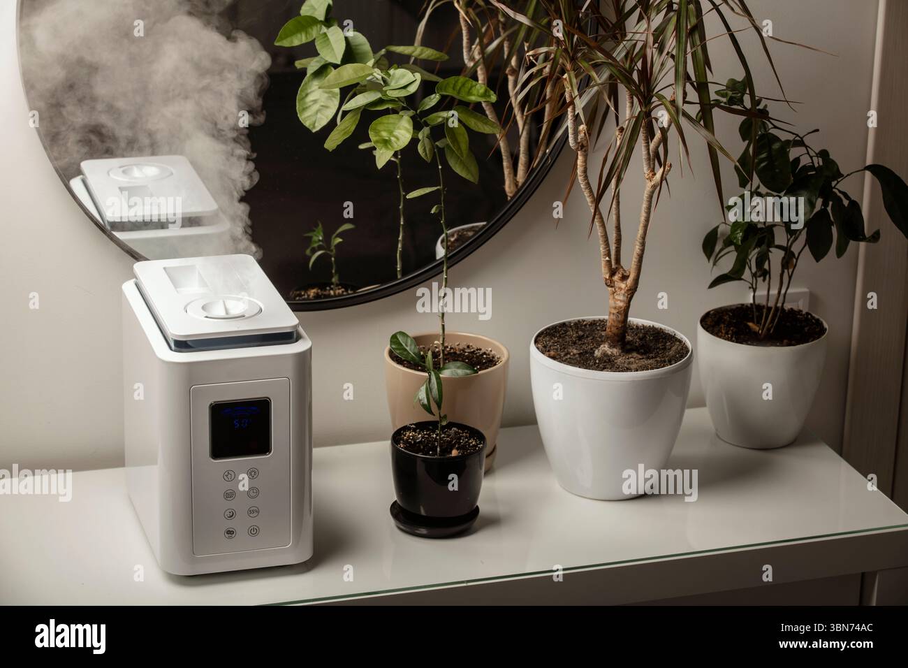 Diffusore di olio aromatico sul tavolo a casa, vapore dall'umidificatore d'aria, pianta domestica sullo sfondo. Tecnologia a ultrasuoni, aumento dell'umidità dell'aria. Foto Stock