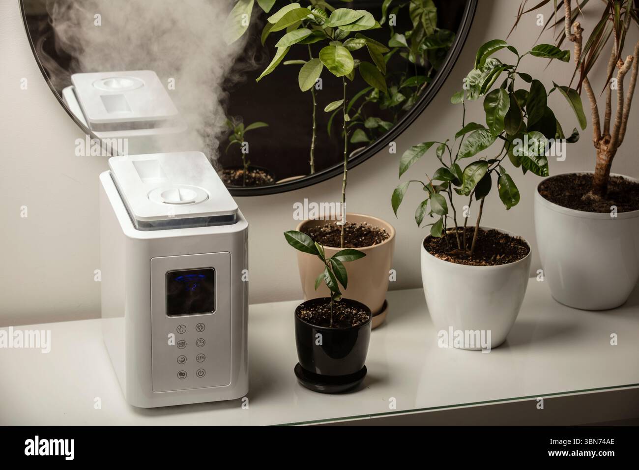 Diffusore di olio aromatico sul tavolo a casa, vapore dall'umidificatore d'aria, pianta domestica sullo sfondo. Tecnologia a ultrasuoni, aumento dell'umidità dell'aria. Foto Stock