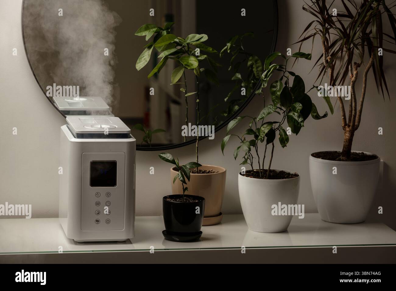 Diffusore di olio aromatico sul tavolo a casa, vapore dall'umidificatore d'aria, pianta domestica sullo sfondo. Tecnologia a ultrasuoni, aumento dell'umidità dell'aria. Foto Stock