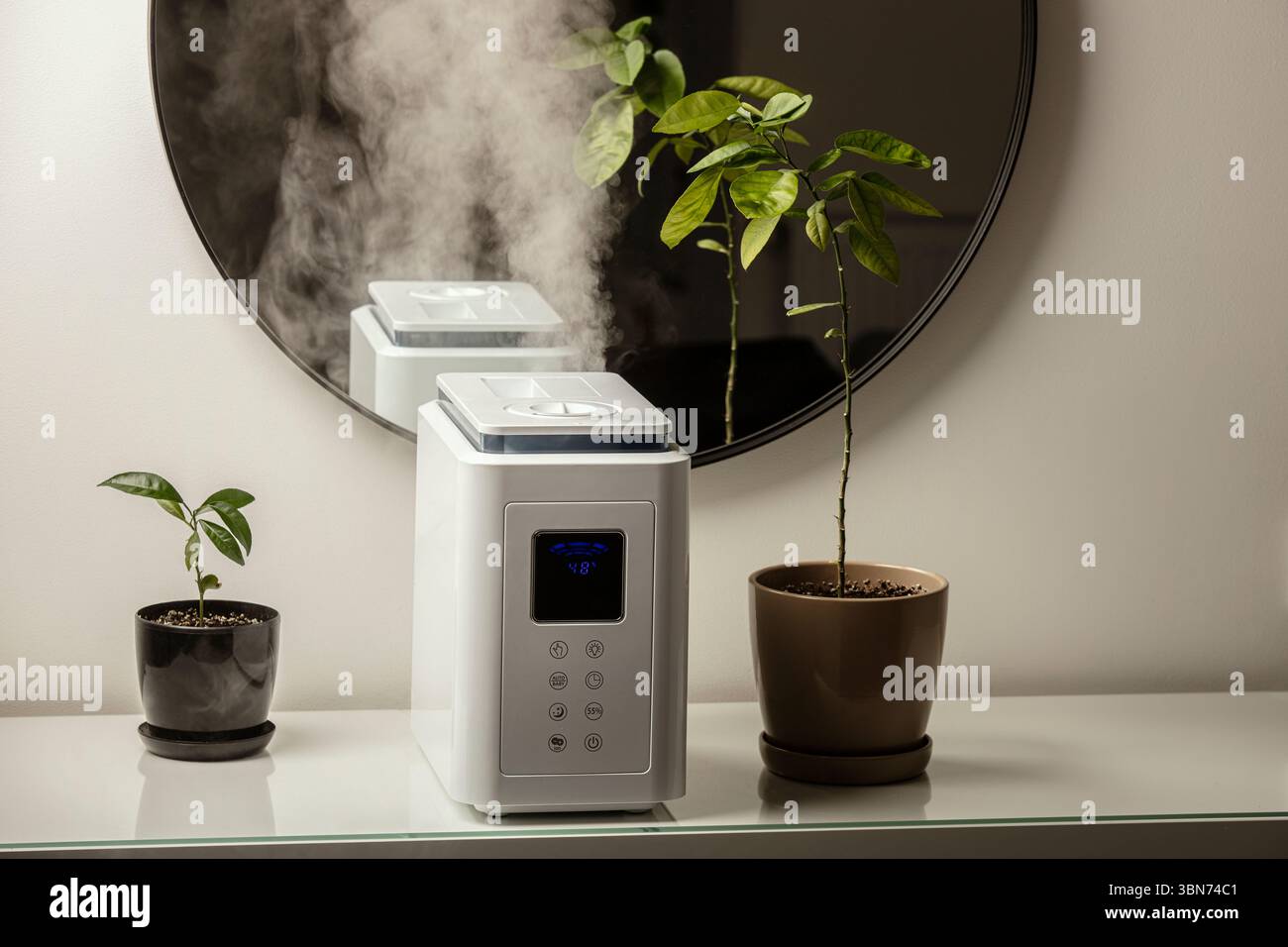 Diffusore di olio aromatico sul tavolo a casa, vapore dall'umidificatore d'aria, pianta domestica sullo sfondo. Tecnologia a ultrasuoni, aumento dell'umidità dell'aria. Foto Stock