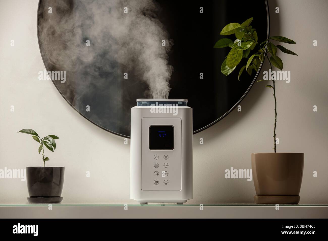 Diffusore di olio aromatico sul tavolo a casa, vapore dall'umidificatore d'aria, pianta domestica sullo sfondo. Tecnologia a ultrasuoni, aumento dell'umidità dell'aria. Foto Stock