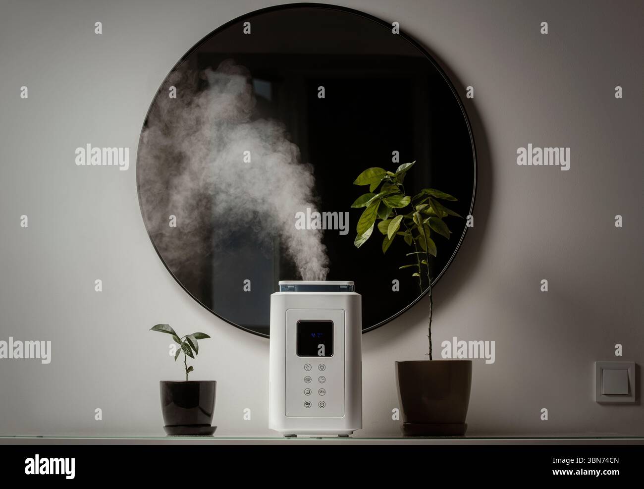 Diffusore di olio aromatico sul tavolo a casa, vapore dall'umidificatore d'aria, pianta domestica sullo sfondo. Tecnologia a ultrasuoni, aumento dell'umidità dell'aria. Foto Stock