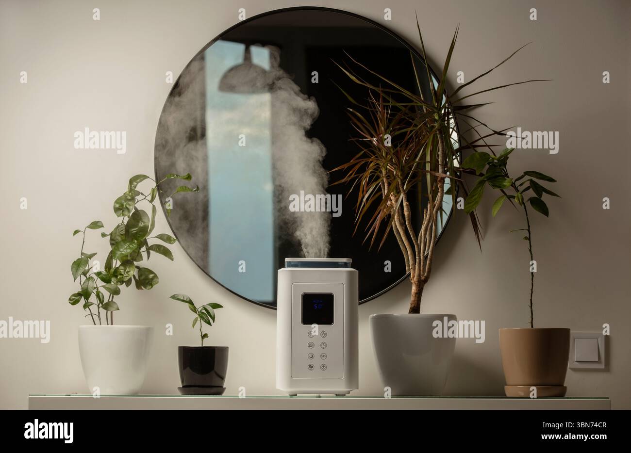 Diffusore di olio aromatico sul tavolo a casa, vapore dall'umidificatore d'aria, pianta domestica sullo sfondo. Tecnologia a ultrasuoni, aumento dell'umidità dell'aria. Foto Stock