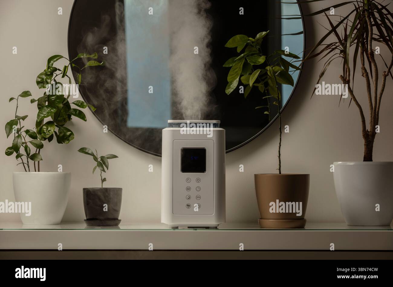 Diffusore di olio aromatico sul tavolo a casa, vapore dall'umidificatore d'aria, pianta domestica sullo sfondo. Tecnologia a ultrasuoni, aumento dell'umidità dell'aria. Foto Stock