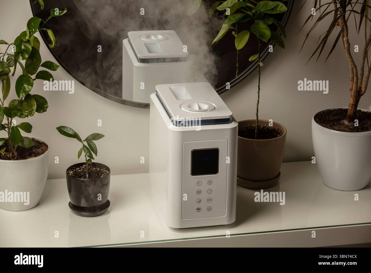 Diffusore di olio aromatico sul tavolo a casa, vapore dall'umidificatore d'aria, pianta domestica sullo sfondo. Tecnologia a ultrasuoni, aumento dell'umidità dell'aria. Foto Stock