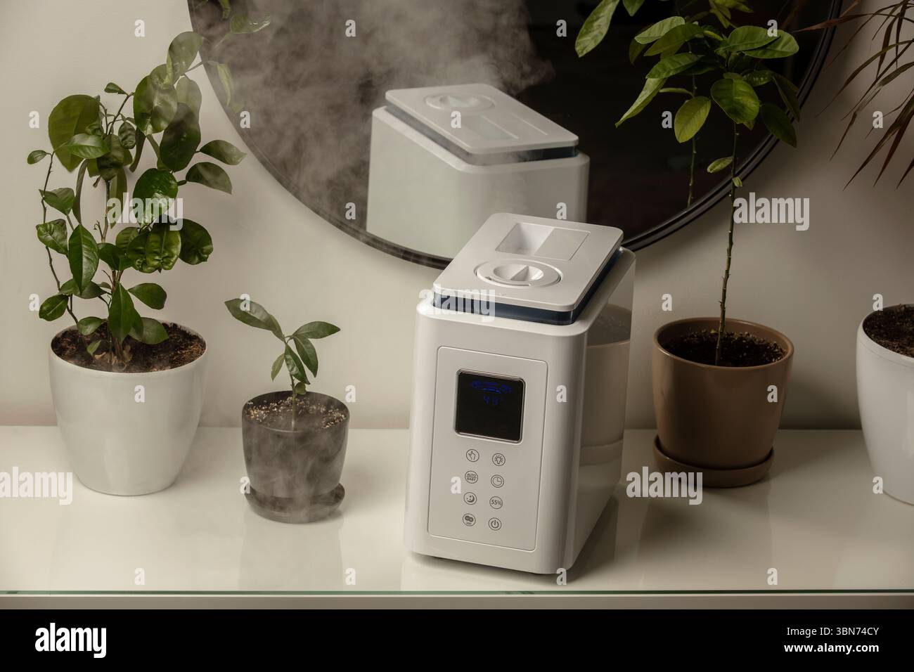 Diffusore di olio aromatico sul tavolo a casa, vapore dall'umidificatore d'aria, pianta domestica sullo sfondo. Tecnologia a ultrasuoni, aumento dell'umidità dell'aria. Foto Stock
