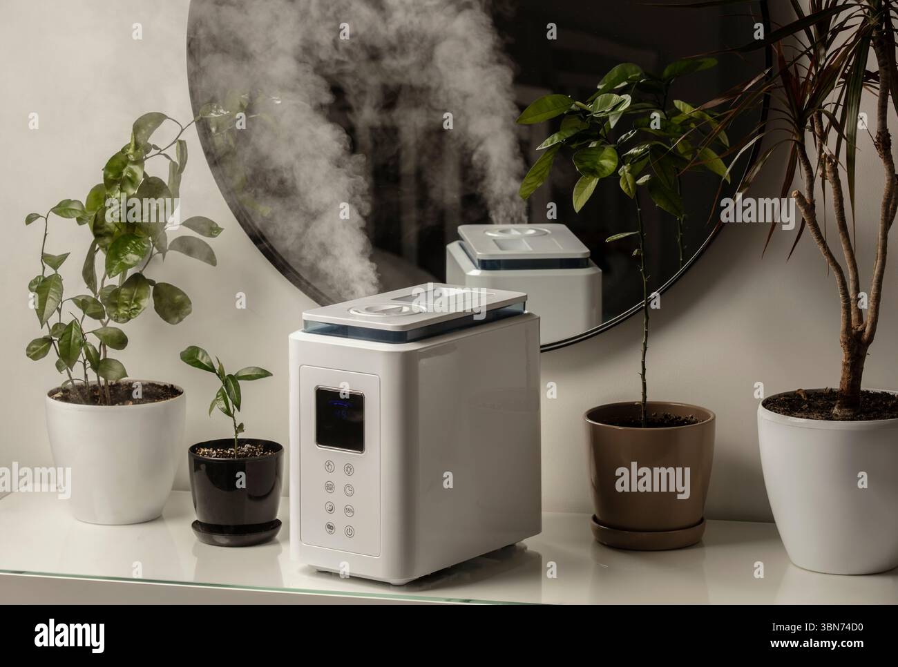 Diffusore di olio aromatico sul tavolo a casa, vapore dall'umidificatore d'aria, pianta domestica sullo sfondo. Tecnologia a ultrasuoni, aumento dell'umidità dell'aria. Foto Stock