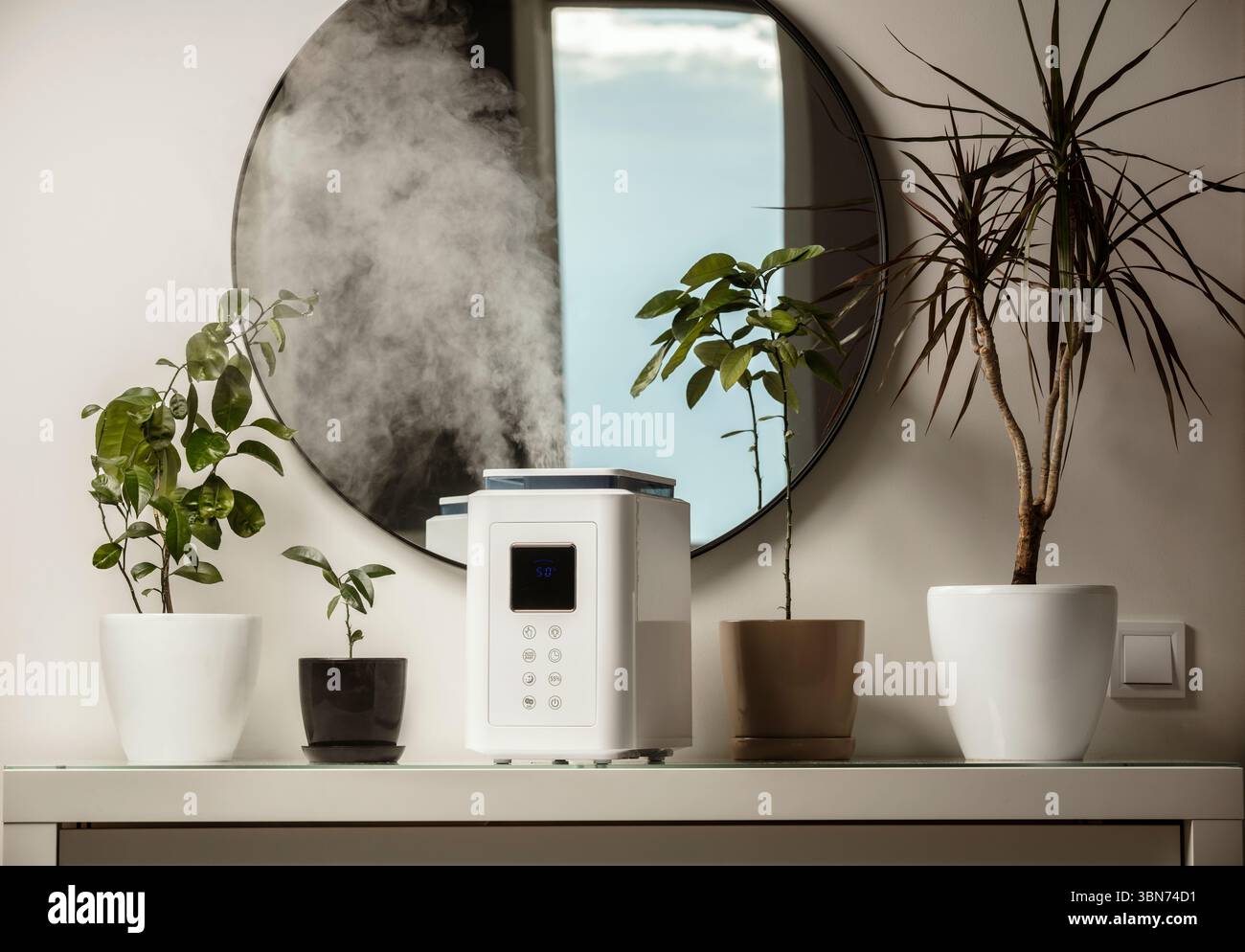 Diffusore di olio aromatico sul tavolo a casa, vapore dall'umidificatore d'aria, pianta domestica sullo sfondo. Tecnologia a ultrasuoni, aumento dell'umidità dell'aria. Foto Stock