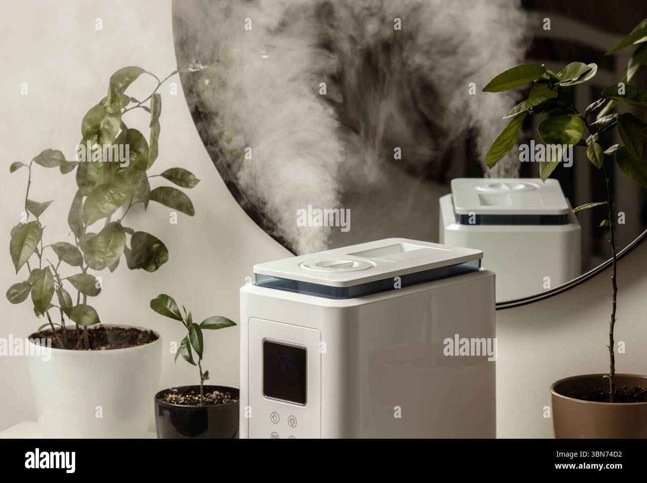 Diffusore di olio aromatico sul tavolo a casa, vapore dall'umidificatore d'aria, pianta domestica sullo sfondo. Tecnologia a ultrasuoni, aumento dell'umidità dell'aria. Foto Stock