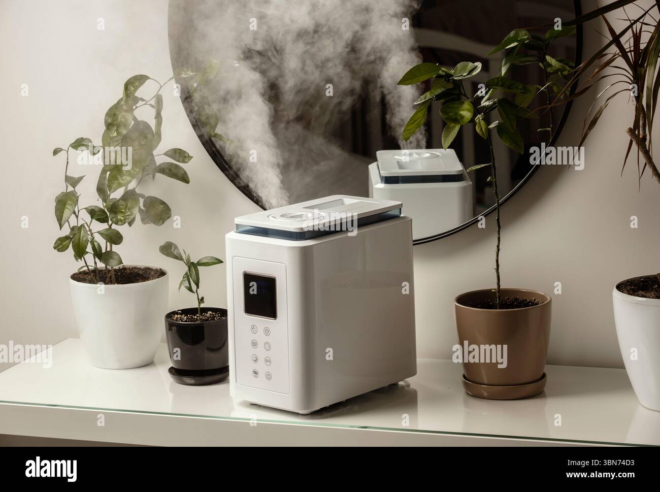 Diffusore di olio aromatico sul tavolo a casa, vapore dall'umidificatore d'aria, pianta domestica sullo sfondo. Tecnologia a ultrasuoni, aumento dell'umidità dell'aria. Foto Stock