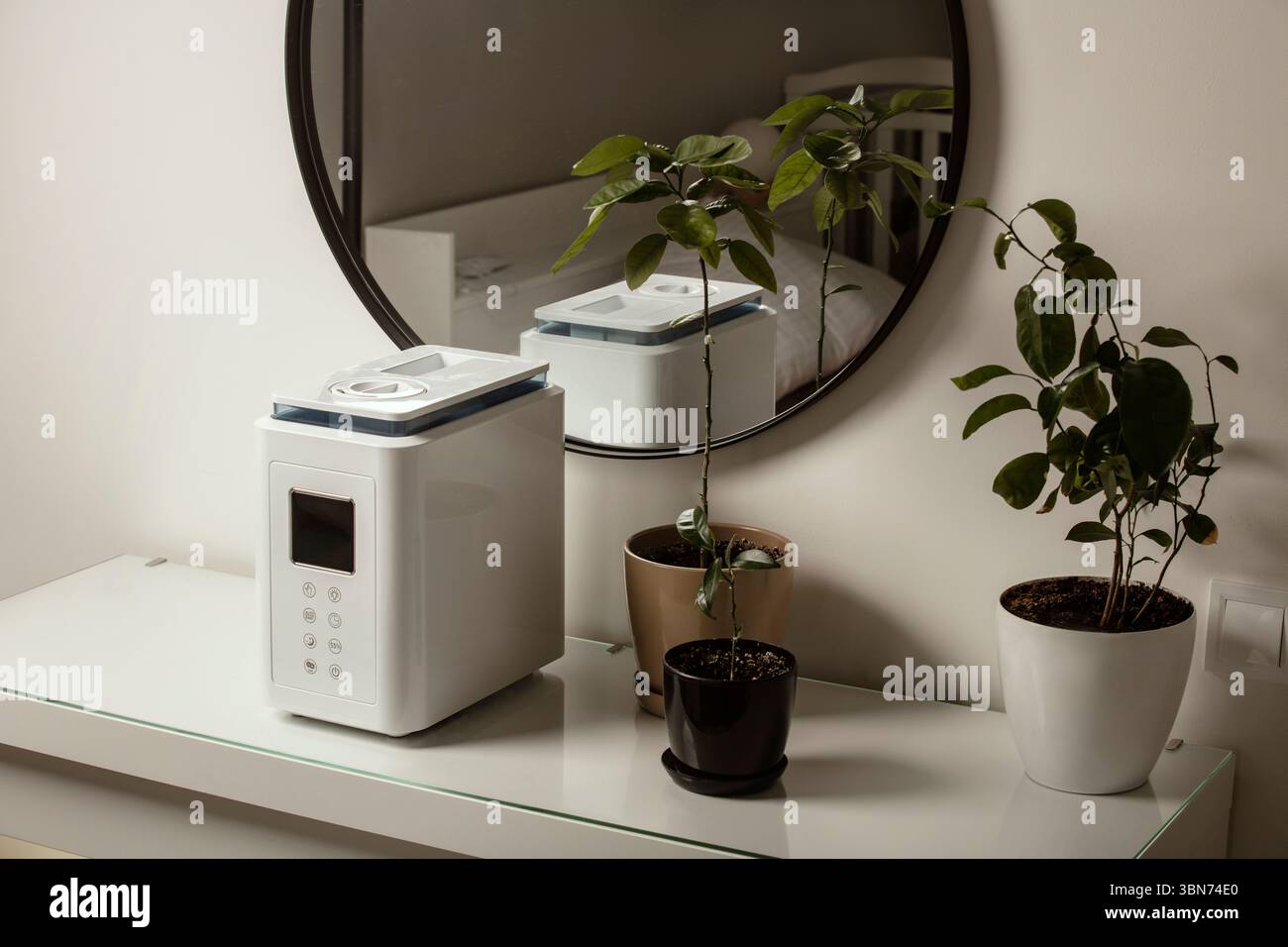 Diffusore di olio aromatico sul tavolo a casa, vapore dall'umidificatore d'aria, pianta domestica sullo sfondo. Tecnologia a ultrasuoni, aumento dell'umidità dell'aria. Foto Stock