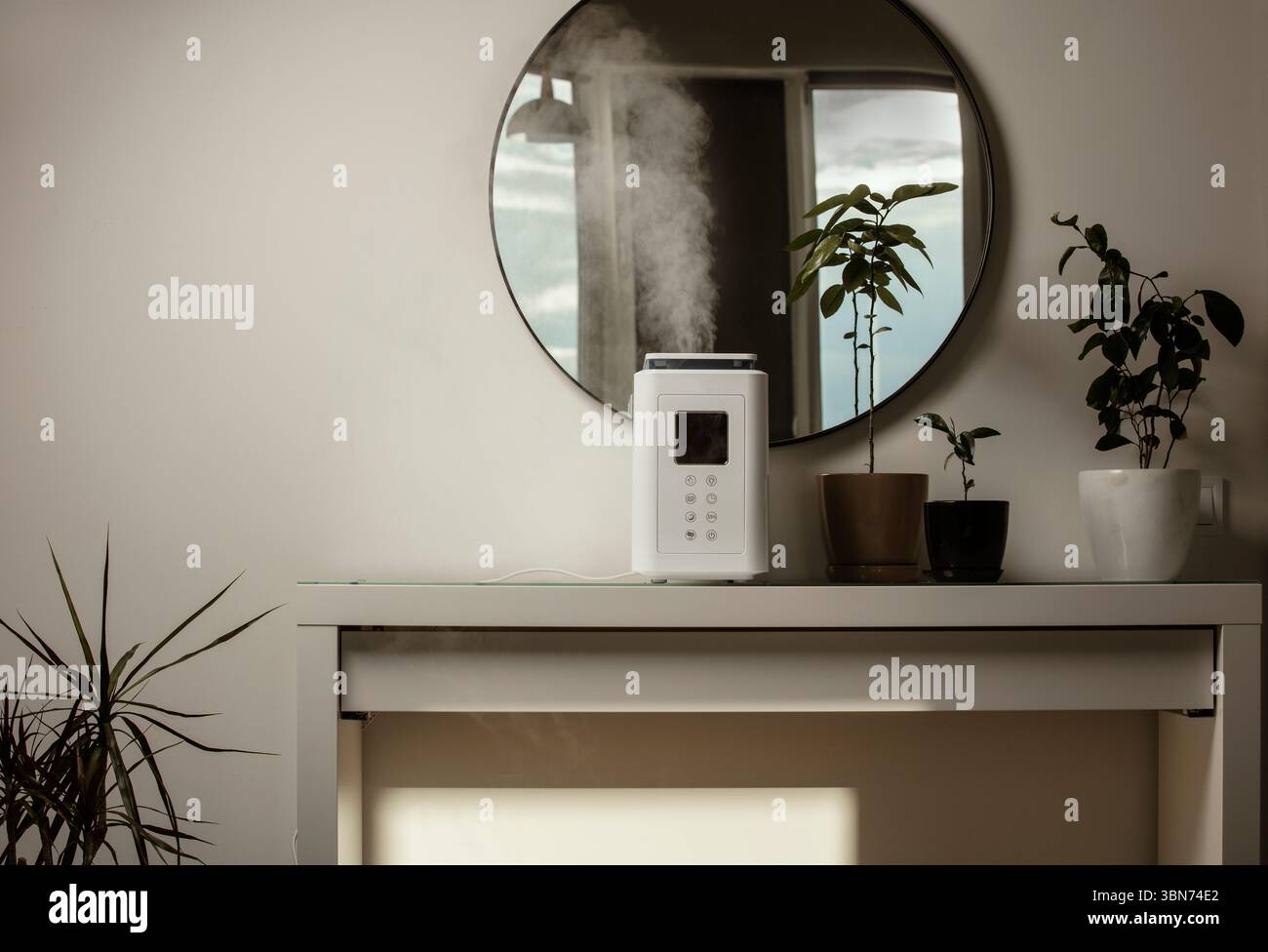 Diffusore di olio aromatico sul tavolo a casa, vapore dall'umidificatore d'aria, pianta domestica sullo sfondo. Tecnologia a ultrasuoni, aumento dell'umidità dell'aria. Foto Stock