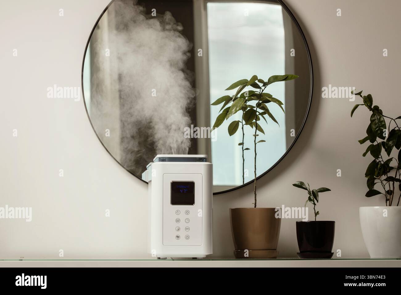 Diffusore di olio aromatico sul tavolo a casa, vapore dall'umidificatore d'aria, pianta domestica sullo sfondo. Tecnologia a ultrasuoni, aumento dell'umidità dell'aria. Foto Stock