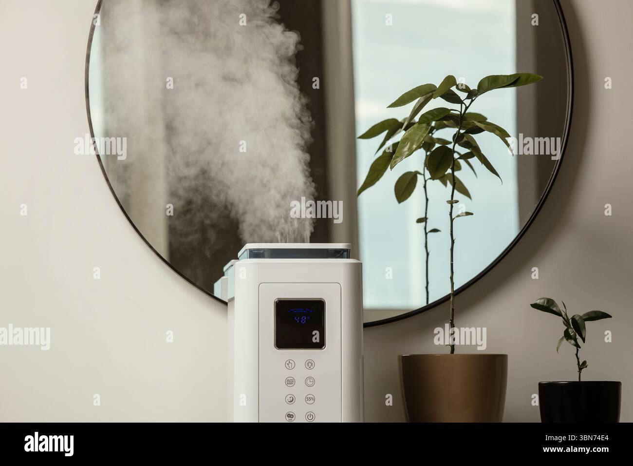 Diffusore di olio aromatico sul tavolo a casa, vapore dall'umidificatore d'aria, pianta domestica sullo sfondo. Tecnologia a ultrasuoni, aumento dell'umidità dell'aria. Foto Stock