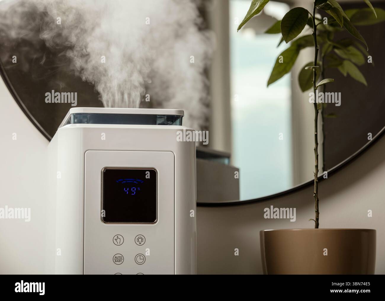 Diffusore di olio aromatico sul tavolo a casa, vapore dall'umidificatore d'aria, pianta domestica sullo sfondo. Tecnologia a ultrasuoni, aumento dell'umidità dell'aria. Foto Stock