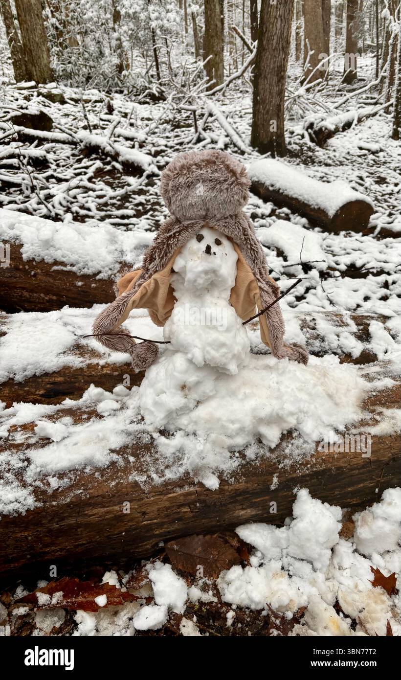 Un bizzarro mini pupazzo di neve che indossa un caldo cappello peloso su un tronco innevato durante l'inverno Foto Stock