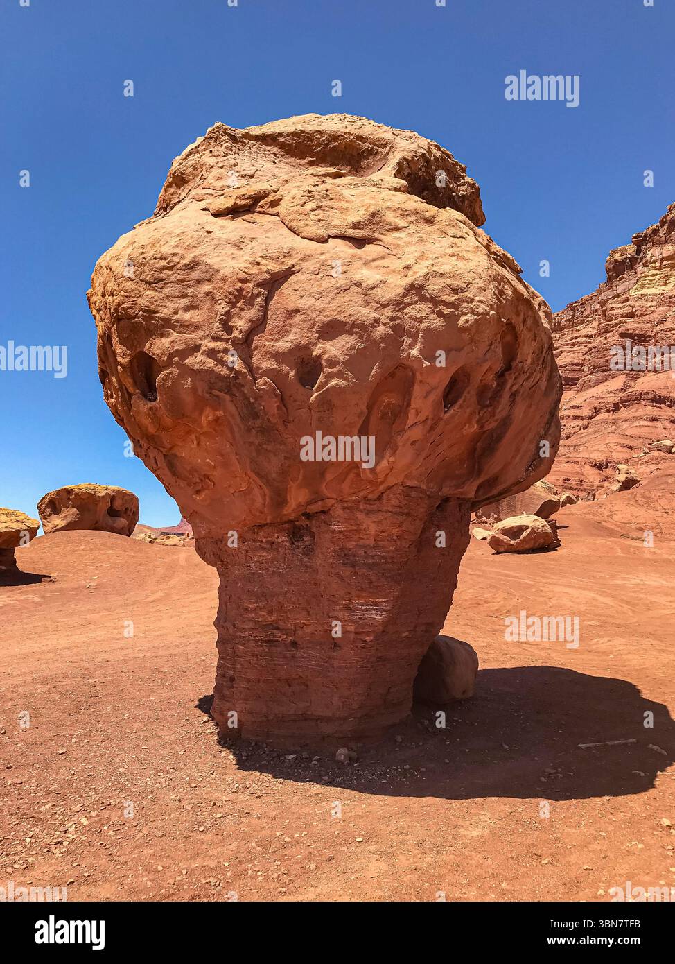 Strane formazioni rocciose, tra cui questa roccia a forma di fungo, sorgono lungo la strada vicino a Lees' Ferry, Glen Canyon National Recreation area, Arizona, USA Foto Stock