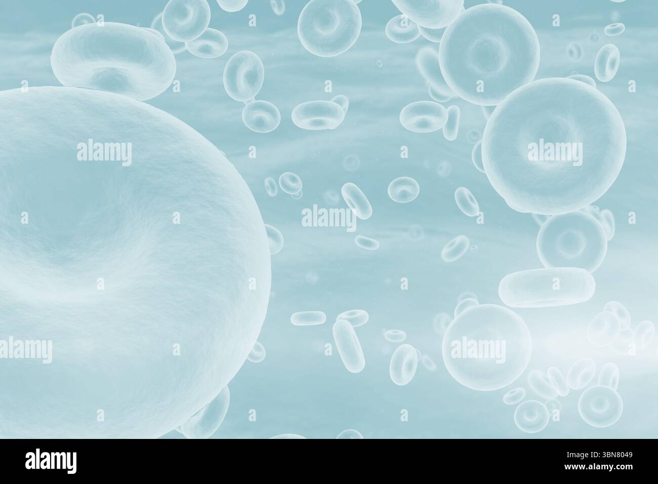 Immagine a tre dimensioni dell'illustrazione dell'organismo Foto Stock